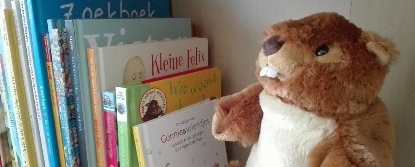 Knuffel en boeken