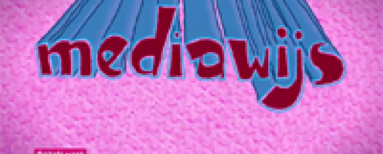 Logo mediawijs 2013