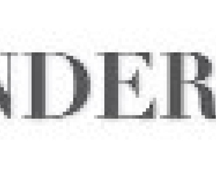 Logo flanders today