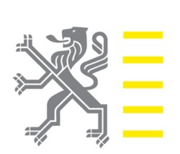 Oud logo Vlaamse overheid