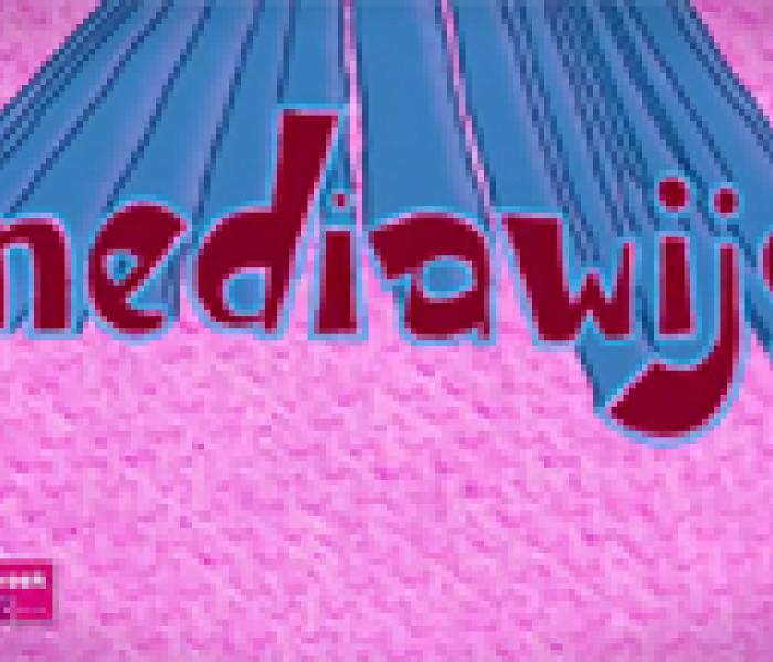 mediawijs_2013